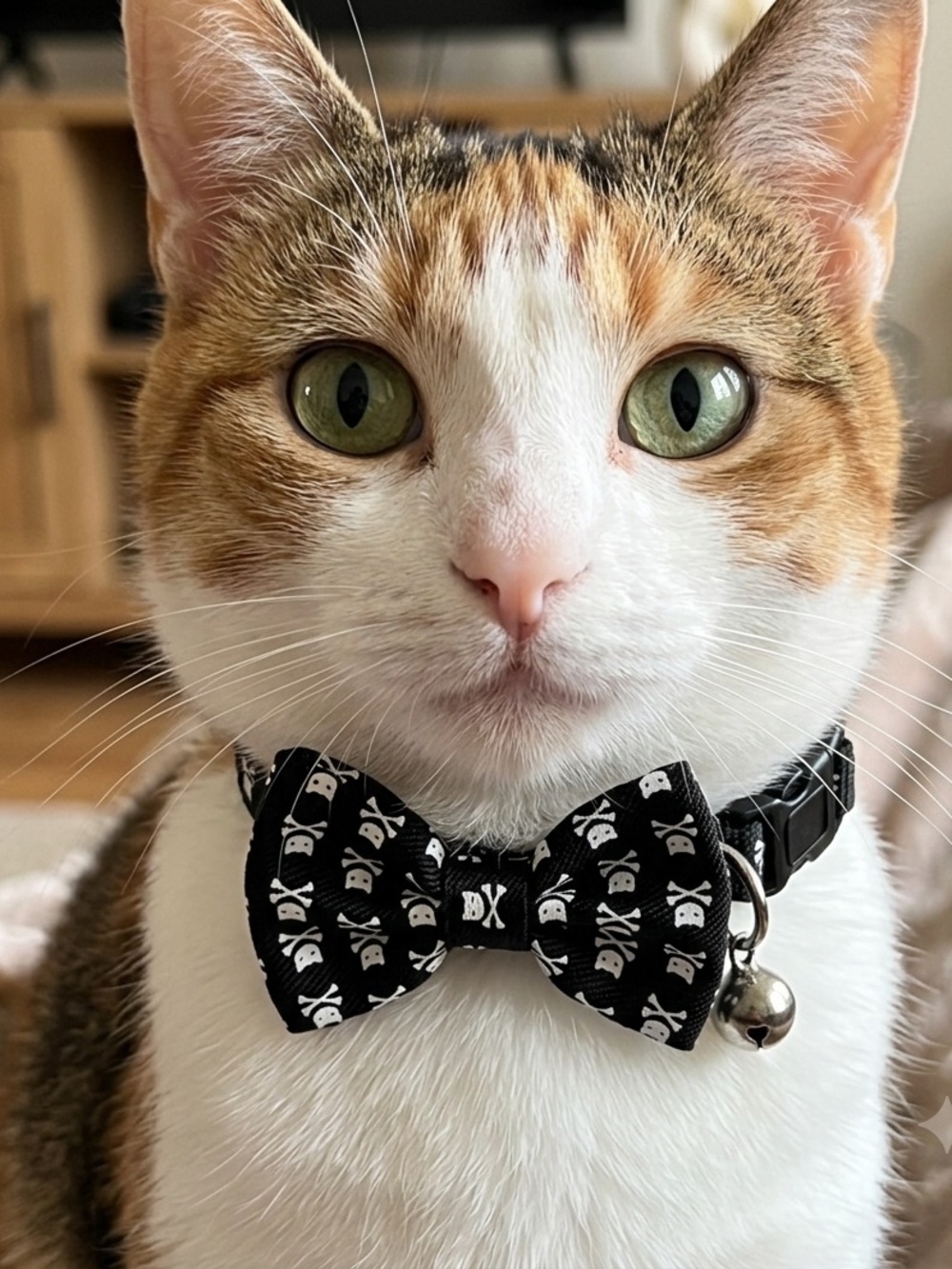 Black Skull Bow Tie Cat or Smsll Dog Collar - Goth, Punk, Grunge, Alternative